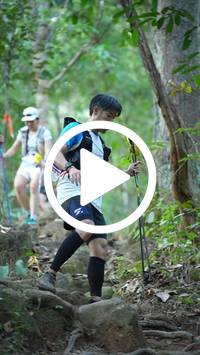 BIB:  <button type="button" onclick="openModal(27643875)" class="btn btn-primary btn-sm float-right" data-toggle="modal" data-target=".modal-high-quality">
                <i class="fa fa-download"></i> Download
                </button>